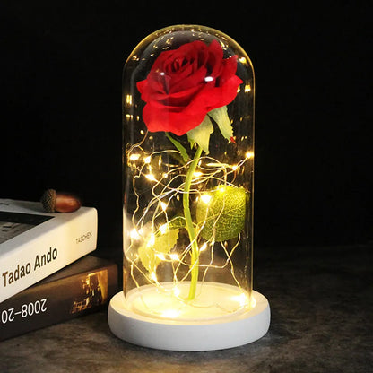 Beauty and the Beast Rose - Creative Valentine's Day Gift